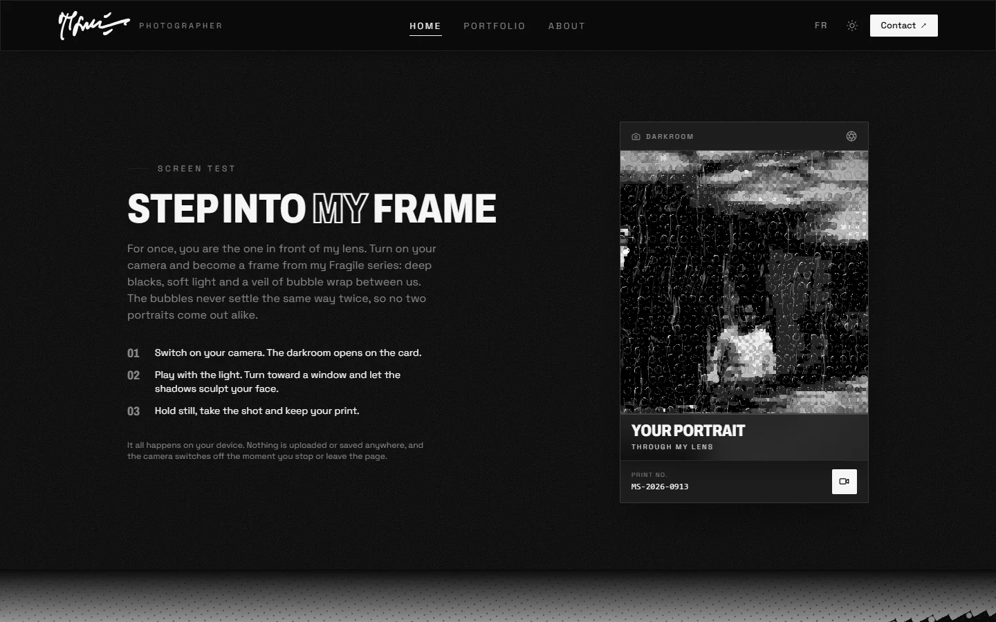 Screen Test section inviting visitors to become a portrait from the Fragile series